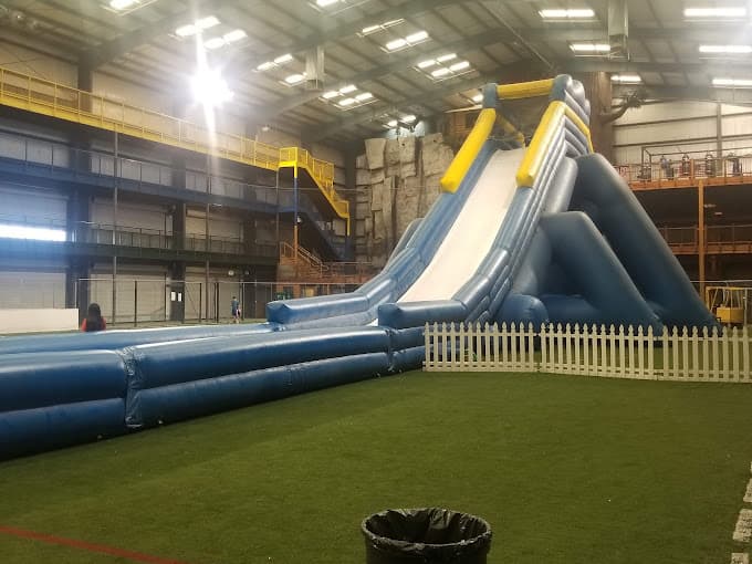 Hippo Inflatable Slide